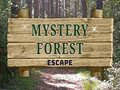 Game Mystery Forest