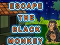 Game Escape The Black Monkey