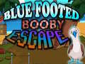 Game Blue Footed Booby Escape
