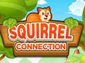 Game Squirrel Connection