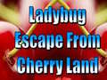 Game Ladybug Escape From Cherry Land