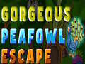 Game Gorgeous Peafowl Escape