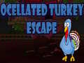 Game Ocellated Turkey Escape