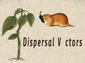 Game Dispersal Vectors