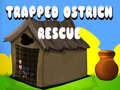 Game Trapped Ostrich Rescue