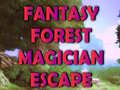 Game Fantasy Forest Magician Escape