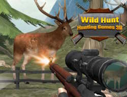 Game Wild Hunt Hunting Games 3D online.
