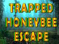 Game Trapped Honeybee Escape