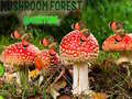 Game Mushroom Forest Adventure