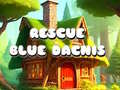 Game Rescue Blue Dacnis