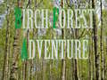 Game Birch Forest Adventure