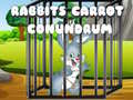 Game Rabbits Carrot Conundrum