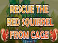 Game Rescue The Red Squirrel From Cage