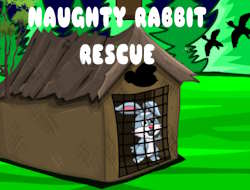 Game Naughty Rabbit Rescue online.