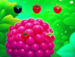 Game Sweet Raspberry online.