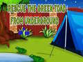 Game Rescue The Green Toad From Underground