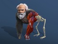 Game Idle Evolution From Cell To Human