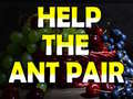Game Help The Ant Pair