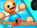 Game Perfect Snapshot