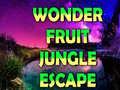 ເກມ Wonder Fruit Jungle Escape