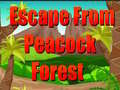 Game Escape From Peacock Forest