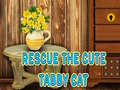 Game Rescue The Cute Tabby Cat