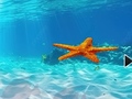 Cluiche Escape From Underwater Starfish