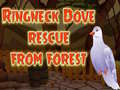 Game Ringneck Dove Rescue From Forest