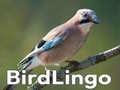 Game BirdLingo