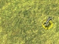 Game Monster truck