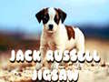 Cluiche Jack Russell Jigsaw