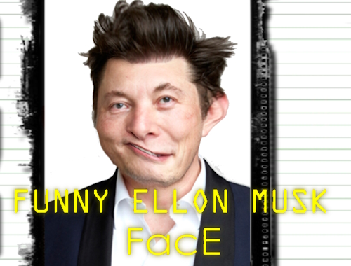 Game Funny Elon Musk Face online.