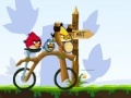 Game Angry Birds Bike Revenge