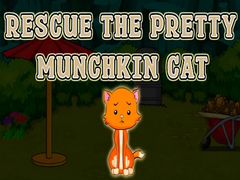Game Rescue The Pretty Munchkin Cat