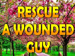 Game Rescue A Wounded Guy