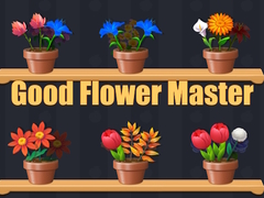 Game Good Flower Master