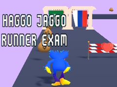 Game Haggo Jaggo Runner exam