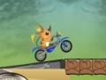 Game Raichu Ride 