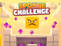 Game Sponge Challenge