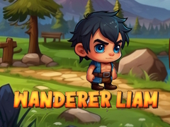 Game Wanderer Liam