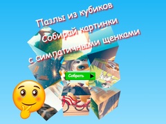 Game Jigsaw Cube Puzzles Collect Pictures with Cute Puppies