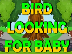Game Bird Looking For Baby