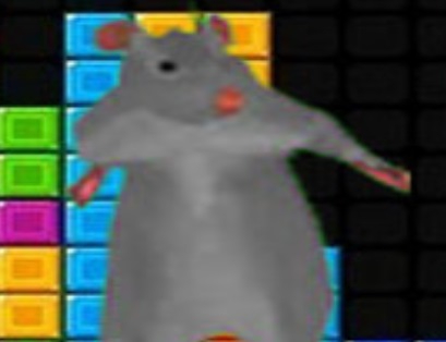 Game Ratomilton Falling Blocks online.