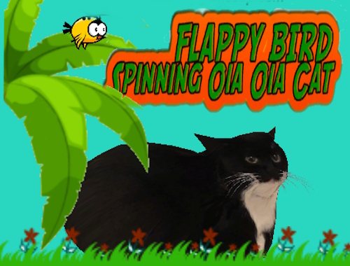 Game Flappy Bird Spinning oia oia Cat online.