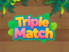 Game Triple Matched
