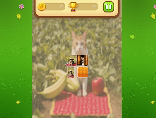 Game Farm Cat Memory Match online.