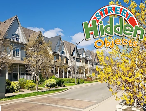 Game Street Hidden Objects online.