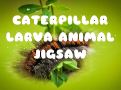 Game Caterpillar Larva Animal Jigsaw