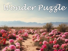 Game Wonder Puzzle