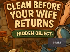 Game Clean Before Your Wife Returns Hidden Object